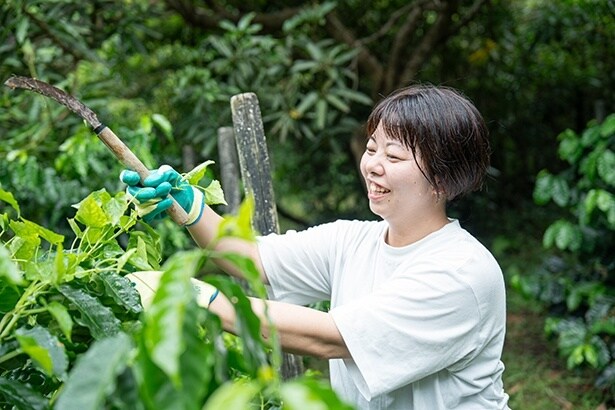 「沖縄は観賞用にコーヒーノキを庭に植えている家庭も多くて、身近なんですよ」と語る、スターバックスの仲本さん