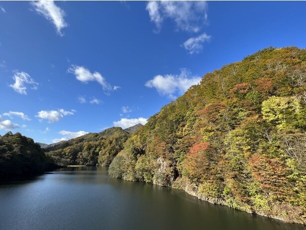 駒ヶ岳ダムから紅葉で彩られた渓谷を鑑賞できる/鳥崎八景の紅葉