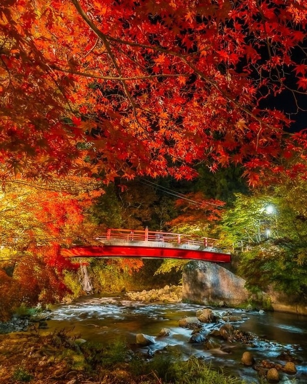 渓流のさざめきを聞きながら紅葉を眺められる/中野もみじ山の紅葉