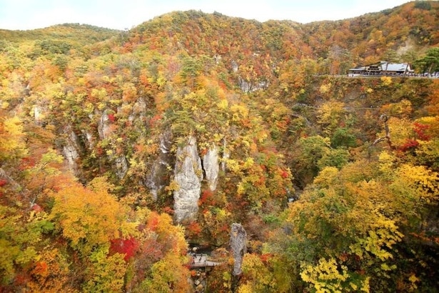 見頃を迎えそうな紅葉名所をピックアップ※写真は鳴子峡の紅葉