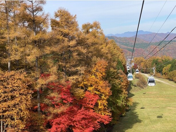ゴンドラの周りには紅葉の絶景が広がる/ハンターマウンテン 紅葉ハンターゴンドラの紅葉