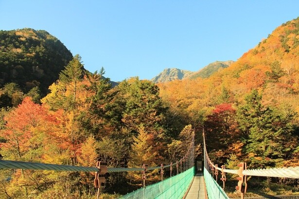 白鳳渓谷の吊橋からの紅葉と北岳/南アルプス白鳳渓谷の紅葉