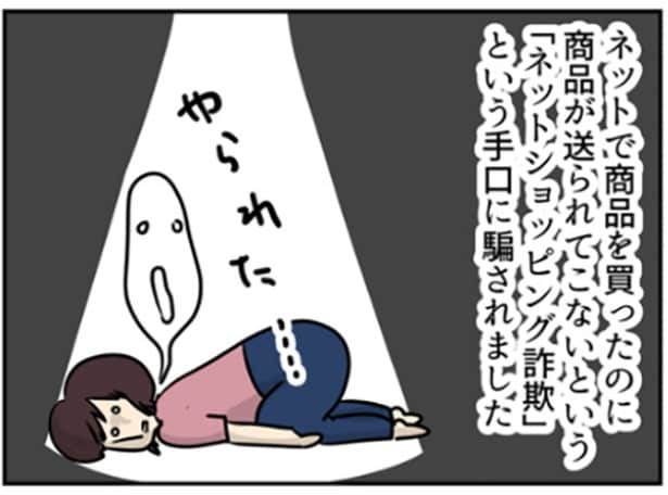 ネットショッピング詐欺に遭った主婦