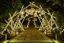 HANA・BIYORIの竹あかりがバージョンアップ！気になるリニューアルの全貌を紹介