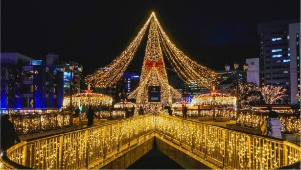 LANDIC presents ナカス ヒカリノアドベント