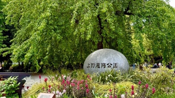 2025年はついに東京に初進出！