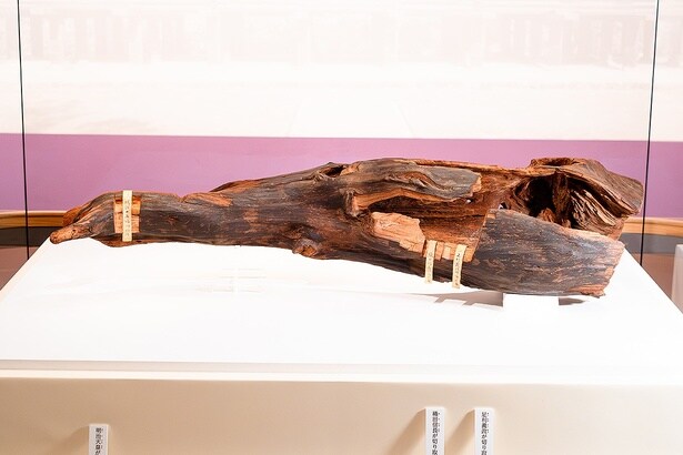 “天下の銘香”と称された「蘭奢待」の名で知られる「黄熟香」は、14年ぶりに出展。足利義政や織田信長ら、時の権力者たちがこぞって欲しがったという伝説も有名