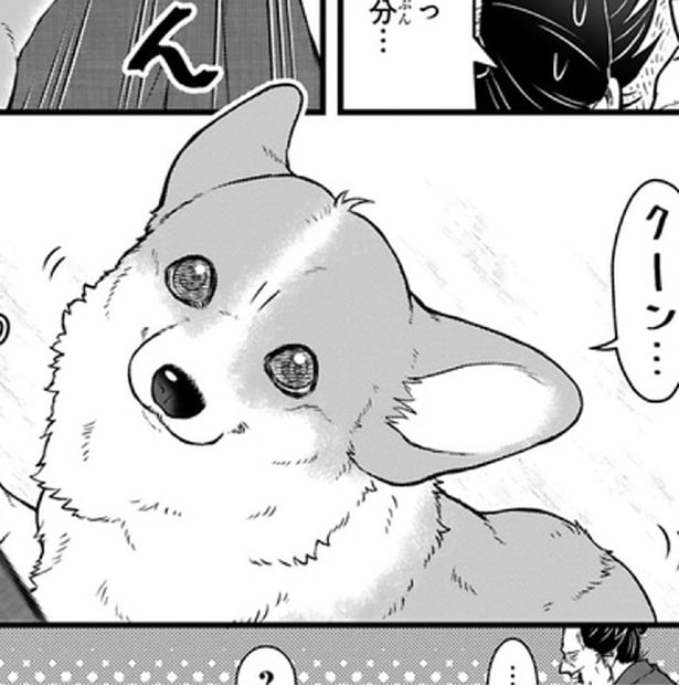 「モフモフ」にメロメロ!没落殿様がコーギーを拾う…江戸時代の異色コンビ漫画【作者を直撃】