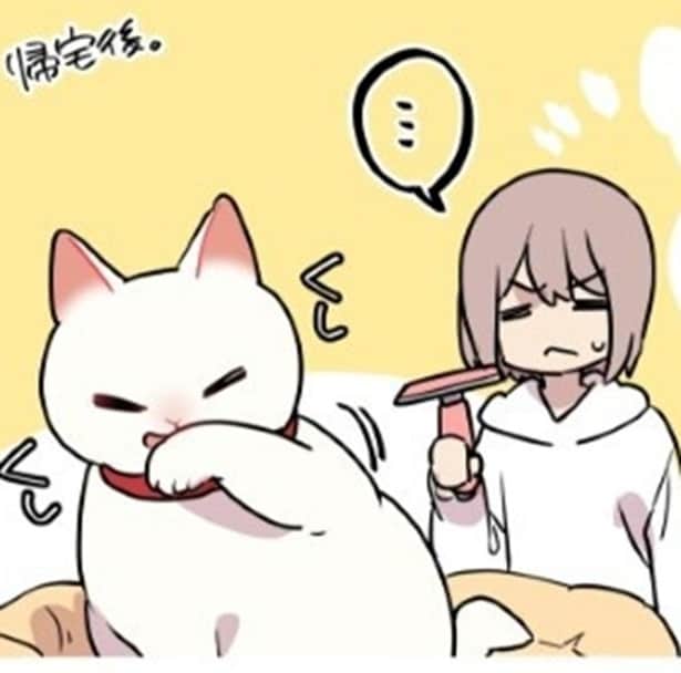 【ねこ漫画】「毛繕いが下手」な猫がいる？動物病院で指摘され飼い主が絶句した驚きの事実【作者に聞く】