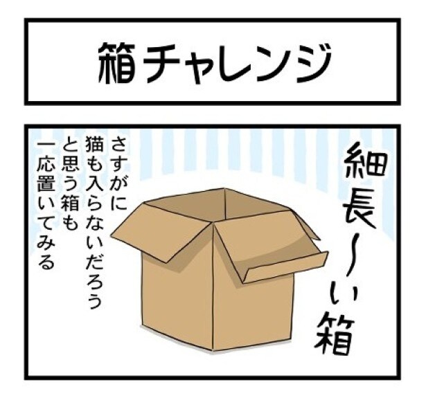 さすがに入らないだろうと思いきや…