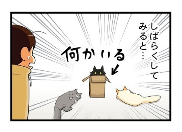 なんかぴっちり収まっている!!