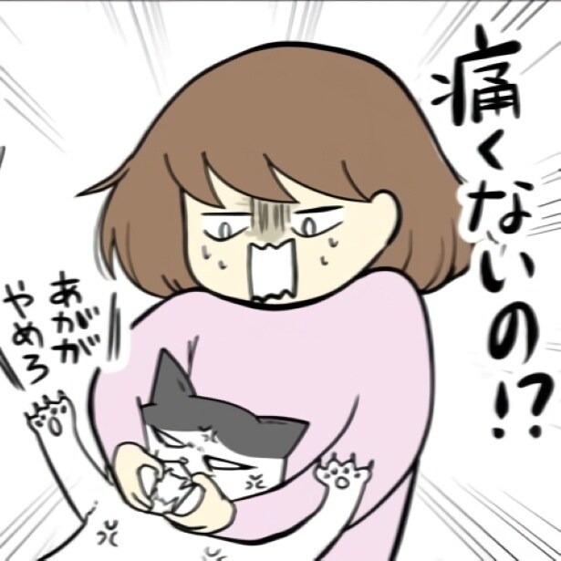 【ネコ漫画】猫の歯が抜けた!それって病気?愛猫がクッションをガウガウ噛んでいた理由【作者に聞いた】