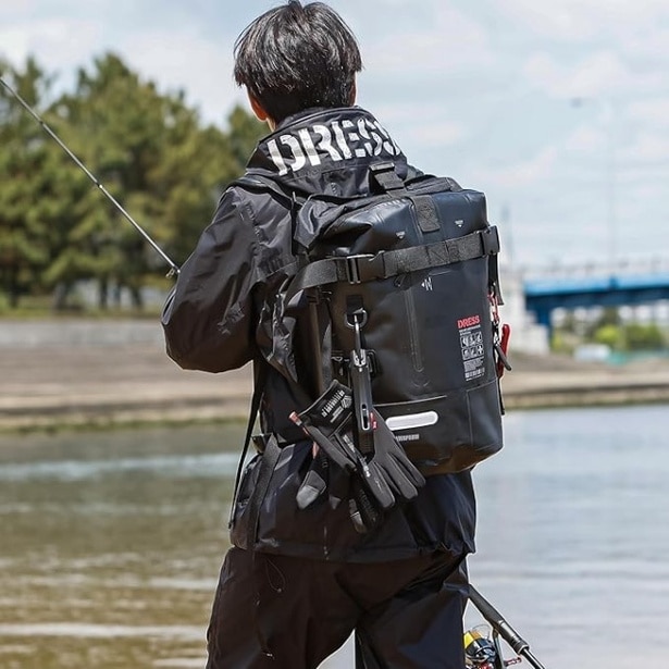 71ufY9Y9xEL._AC_SX500_