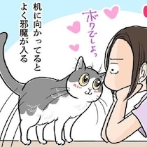 【ネコ漫画】「通じない！応えてくれない！」机の上はダメと叱っても登ってくる愛猫との不毛な時間とメロメロな結末【作者に聞く】