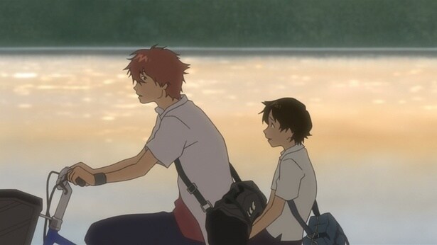  瑞々しいひと夏を描いた青春物語