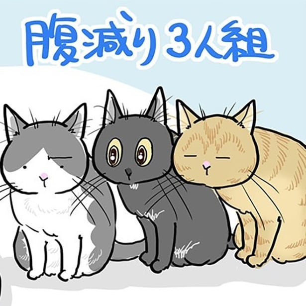 お腹を空かせた猫たちが飼い主をあの手この手で起こす！その方法とは!?