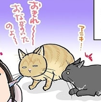 【ネコ漫画】「ぷるるるぅ〜」猫がゼロ距離で放つ無言の圧！腹ペコ猫たちの三者三様のモーニングコール【作者に聞いた】