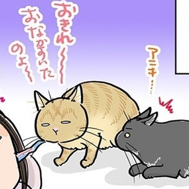 【ネコ漫画】「ぷるるるぅ〜」猫がゼロ距離で放つ無言の圧！腹ペコ猫たちの三者三様のモーニングコール【作者に聞いた】