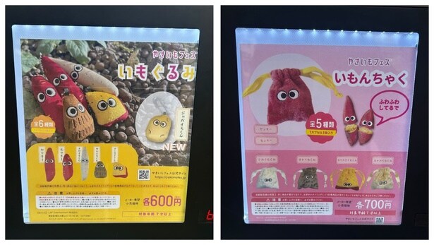 「いもぐるみ」と「いもんちゃく」に挑戦！