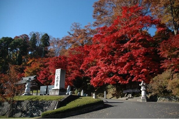 美しい秋を感じるモミジを楽しむ/永源寺(もみじ寺)の紅葉