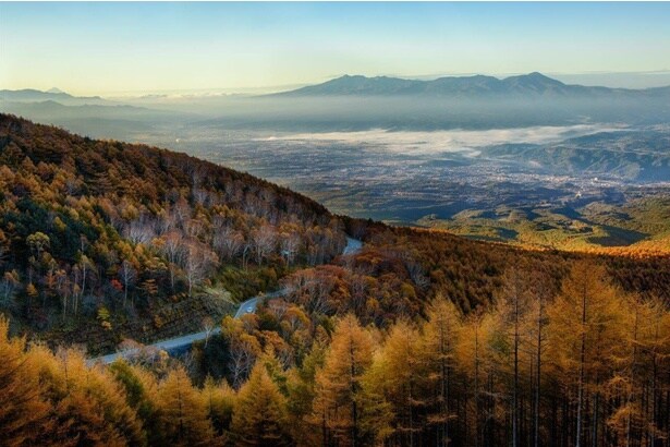 黄金色の紅葉に色づいた山々の悠然たる佇まい/高峰高原の紅葉