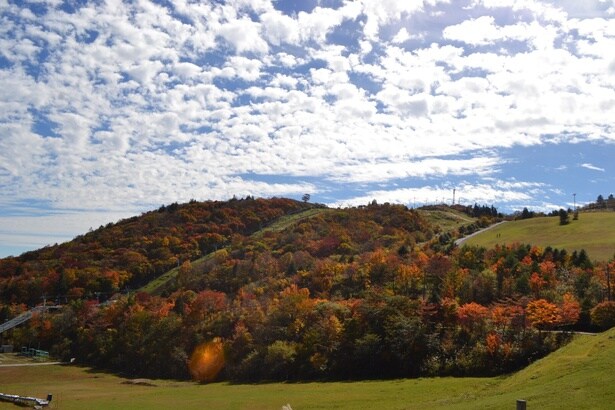 紅葉と青空のコントラストも見どころ/茶臼山高原の紅葉