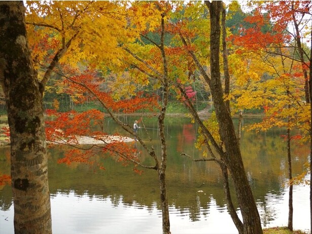 季節を感じさせる風景が美しい/段戸裏谷原生林 きららの森の紅葉