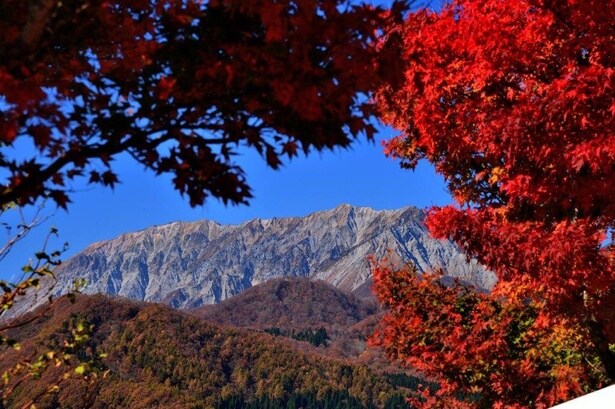 休憩所から見た赫山の紅葉/蒜山高原の紅葉