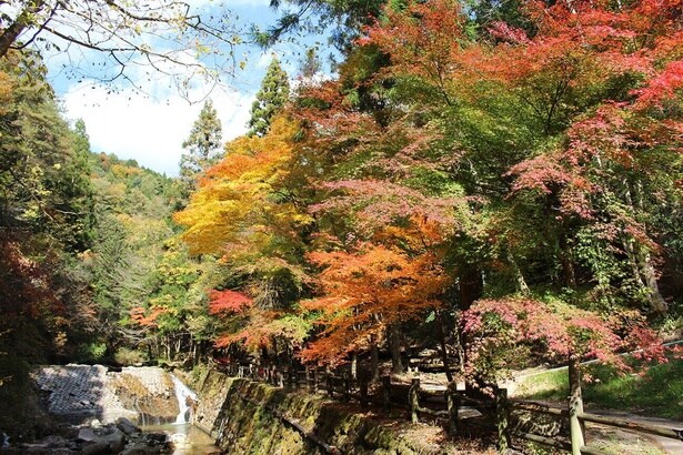 峡谷を紅葉の絶景が彩る/寂地峡の紅葉