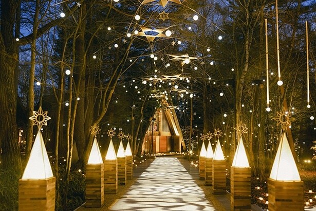 【写真】教会へ続く道「星明かりのプロムナード」