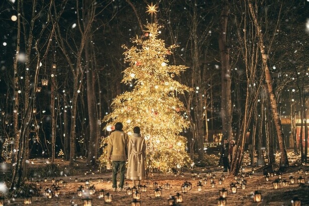 教会前の6メートルのクリスマスツリーを見上げて