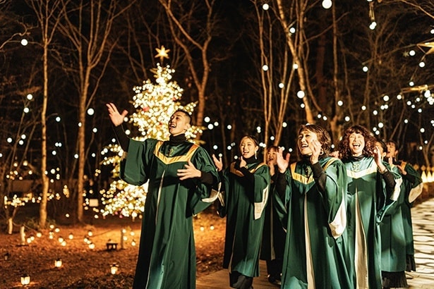 星降る森に響く歌声