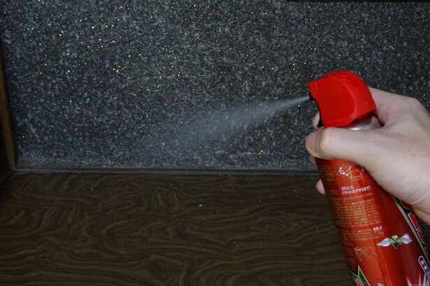 正しい知識で、効果的にゴキブリの駆除と予防を実践しよう