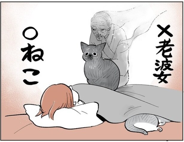 猫が老婆の幽霊に見える女性