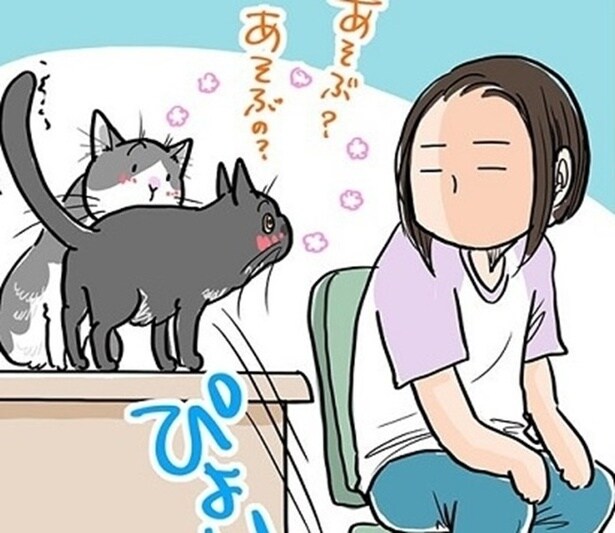 【ネコ漫画】「ダメ！」と言っても通じない猫に、飼い主がたどり着いた「舐められてる」の境地【作者に聞く】