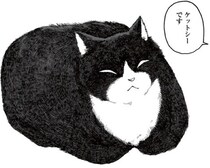【オカルト漫画】人語を理解する妖精猫「ケットシー」や「猫の集会」…世にも不思議な猫魔術の歴史と伝承【作者インタビュー】