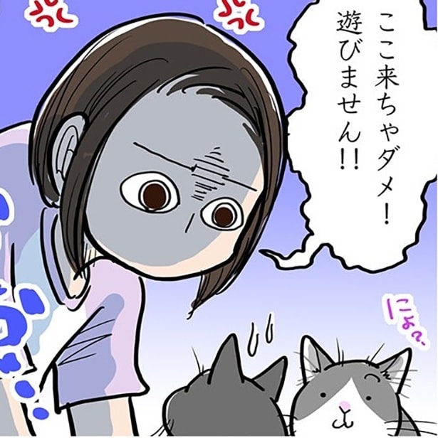 「ここ来ちゃダメ!」お説教は猫に通じる…!?