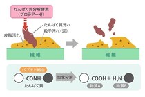 新酵素採用で「NANOX one」がフルリニューアル！約50年にわたるライオンの酵素研究の歴史と、商品の特徴を紹介