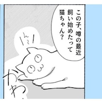 【ねこ漫画】自販機から猫が出てきた!?液体になっても猫はかわいい！「絶対猫じゃないと思う」とツッコみどころ満載【作者に訊く】