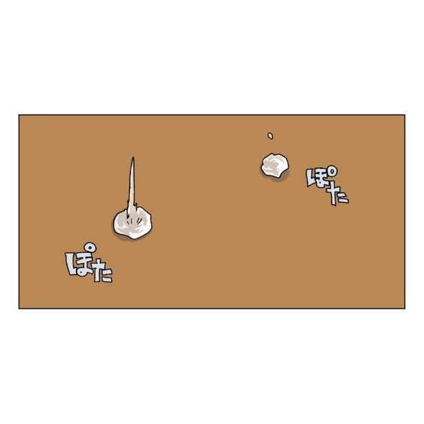 『職場の部下と浮気した夫を私は死んでも許さない』10-1