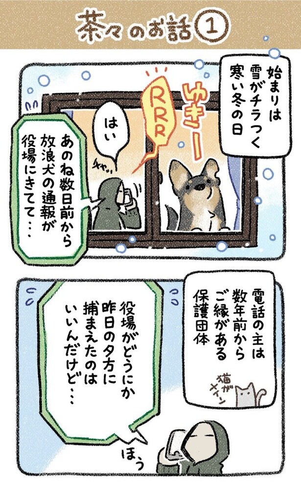 【漫画】吠えまくる放浪犬を引き取ったが？