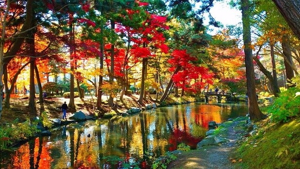 濃い紅色の紅葉が空に映える/盛岡城跡公園(岩手公園)の紅葉