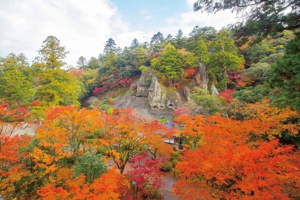 国名勝に指定されている奇岩遊仙境の展望は絶景/那谷寺の紅葉