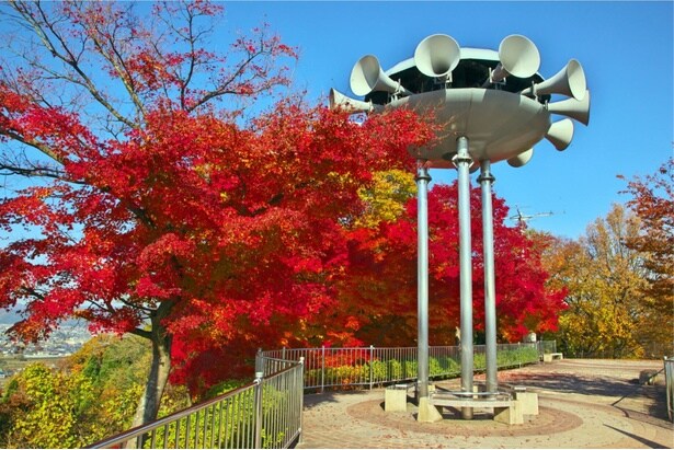 県内最大級の約1600本のモミジが園内を彩る/西山公園の紅葉
