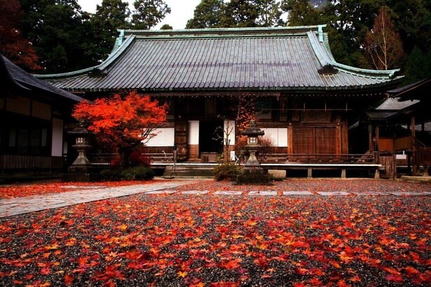 見事な紅葉が楽しめる横川地域/比叡山の紅葉