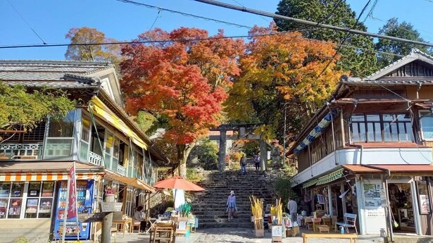 鳥居を彩る鮮やかな紅葉が見事だ/英彦山の紅葉