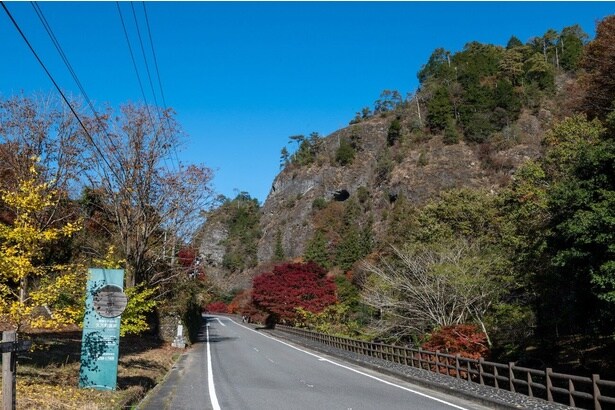礫岩峰の麓が紅葉で彩られる/国民宿舎「古岩屋荘」・岩屋寺周辺の紅葉