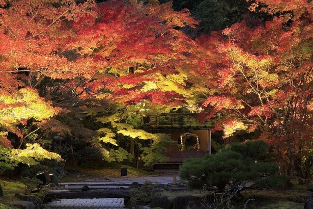 今週末(11月15日・16日)の紅葉見頃はここ！まもなく見頃を迎えそうな全国の紅葉名所ガイド