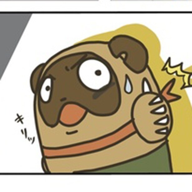 弁護士の著者が「袴田事件」について解説