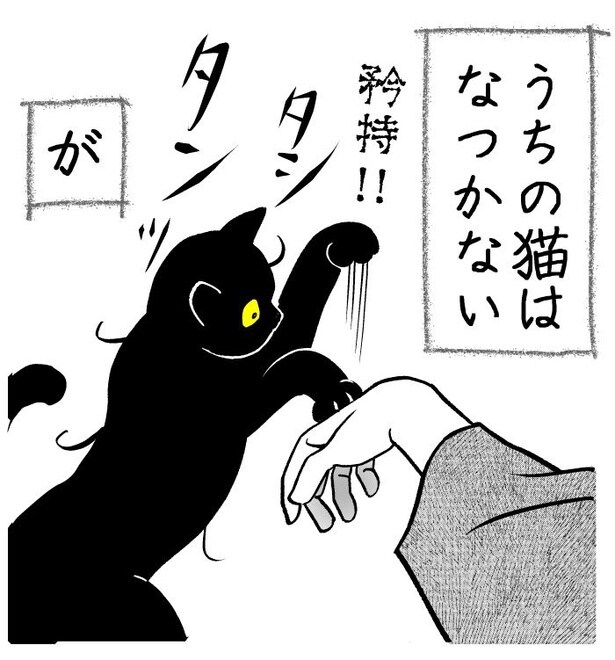 吸いすぎておかしい猫01